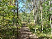 3 Acres For Sale Near Nicolet National Forest