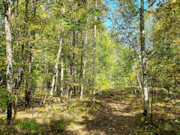 3 Acres For Sale Near Nicolet National Forest