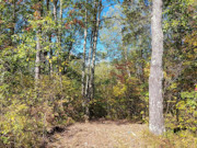 3.2-Acre Lakewood, WI Land - Near Oconto & Marinette Counties