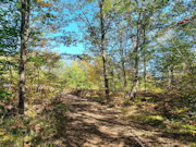 3+ Acre Lakewood, WI Land for Sale - Adjoining Nicolet National Forest