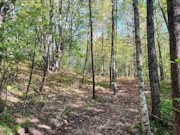 3+ Acre Lakewood, WI Land for Sale - Adjoining Nicolet National Forest