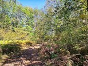 7 Acre Marinette County Land For Sale