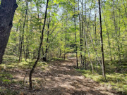 7 Acre Marinette County Land For Sale