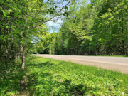 3.6 Acre Wooded Retreat in Forest County, WI - Hunt, Fish, Hike, Build!