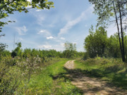 3.6 Acre Wooded Retreat in Forest County, WI - Hunt, Fish, Hike, Build!