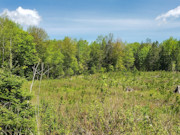 3.6 Acre Wooded Retreat in Forest County, WI - Hunt, Fish, Hike, Build!