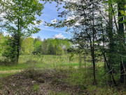 Secluded 3.5 Acres near Pickerel & Crandon - Build, Camp, ATV Trails!