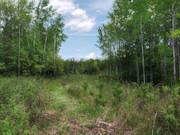 Secluded 3.5 Acres near Pickerel & Crandon - Build, Camp, ATV Trails!