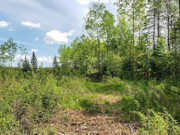 Prime 4-Acre Wooded Land on Langlade-Forest County Line!