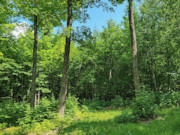 11 Acre Wooded Sawyer Co Land for Sale - Build Cabin, Hunt, Hike, Fish!