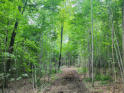 11 Acre Wooded Sawyer Co Land for Sale - Build Cabin, Hunt, Hike, Fish!