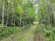 Hayward, WI Wooded Getaway - 9+ Acres, Hunting, Privacy!