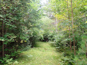 5 Acres with Driveway and Clearing!