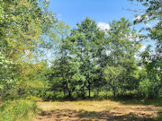 18.5-Acre Dunn County Wooded Property!