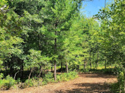 18.5-Acre Dunn County Wooded Property!