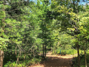 18.5-Acre Dunn County Wooded Property!