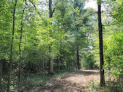 18.5-Acre Dunn County Wooded Property!