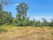 4-Acre Secluded Land for Sale in West-Central WI