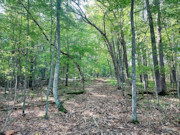 4-Acre Secluded Land for Sale in West-Central WI