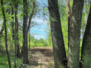 2.5-Acre Wooded Land for Sale in Dunn County, WI