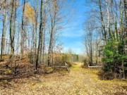 Secluded 4 Acre Forest County Land with Buildable Site