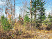 Secluded 7-Acre Forest County Land with Pond