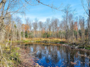 Secluded 4+ Acre Forest County Land with Pond View