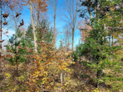 3.5 Acre Wooded Land for Sale Near Crandon, WI