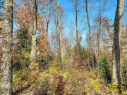 2+ Acres Wooded Land for Sale in Crandon, WI