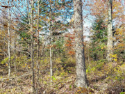 2+ Acres Wooded Land for Sale in Crandon, WI