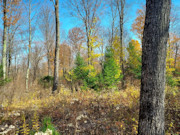 2+ Acres Wooded Land for Sale - Crandon, WI - Hunting, Fishing, Lakes