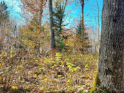 2+ Acres Wooded Land for Sale - Crandon, WI - Hunting, Fishing, Lakes