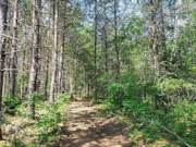 6.5 Acre Wooded Retreat near Tomahawk, WI - Build Your Dream Cabin!