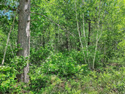 Build or Camp - 5-Acre Wooded Land near Tomahawk - Hunt, Fish, Hike!