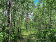 5 Acre Property! Build Your Dream Getaway Near Lake Nokomis!