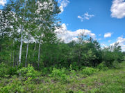 5 Acre Northwoods Escape! Hunt, Hike, Fish Near Lake Nokomis!