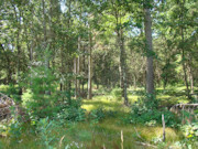 4.25-Acre Wooded Property in Juneau County!