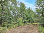 2.1 Wooded Acres near Castle Rock Lake & Yellow River!