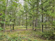 2.1 Wooded Acres near Castle Rock Lake & Yellow River!