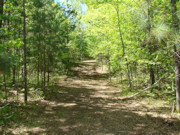 4.5-Acre Wooded Land for Sale Near Castle Rock Lake!