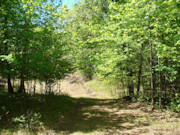 4.5-Acre Wooded Land for Sale Near Castle Rock Lake!