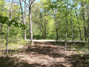 4.5-Acre Wooded Land for Sale Near Castle Rock Lake!