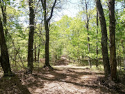 4.5-Acre Wooded Land for Sale Near Castle Rock Lake!