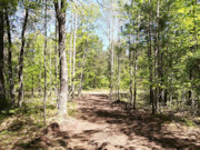 4.5-Acre Wooded Land for Sale Near Castle Rock Lake!